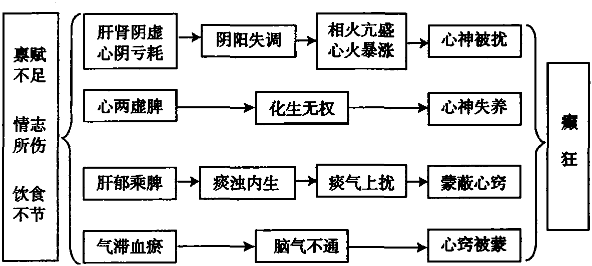 第六節(jié) 癲狂